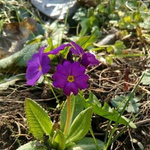 Info: BUNDLE UP AND SAVE 💸